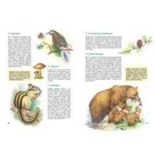 Природа России. Иллюстрированная энциклопедия