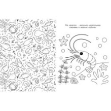 Милые очаровашки