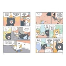 Котёнок Наби. Я умываю лапы!