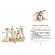 Тафити. Приключения на краю света. Официальная новеллизация