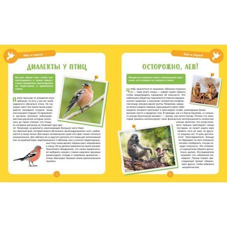 Невероятные животные