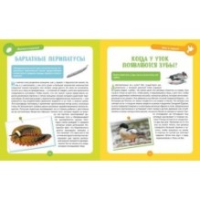 Невероятные животные