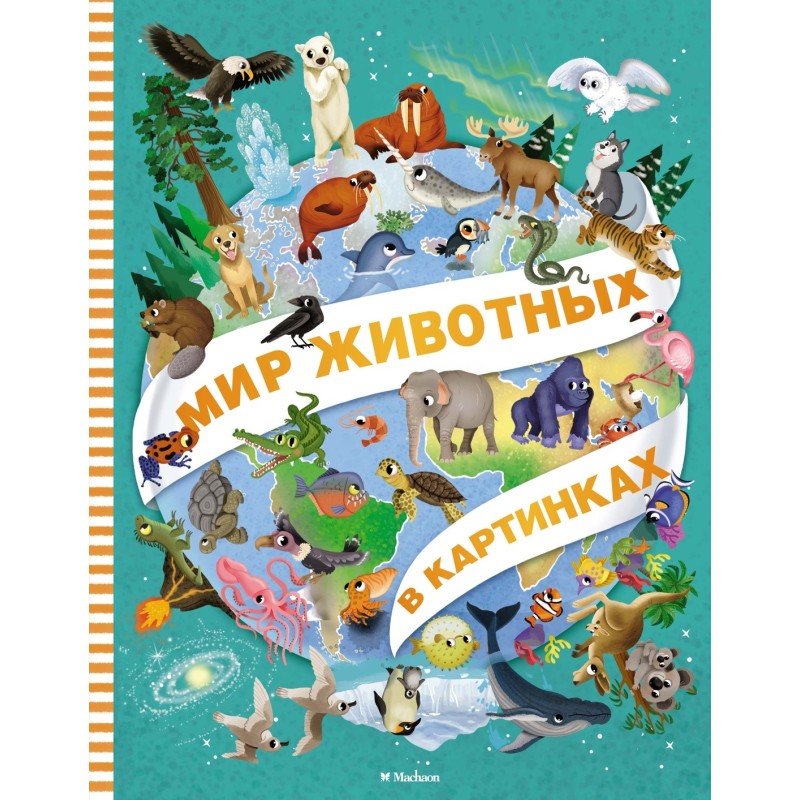Мир животных в картинках Мир животных в картинках