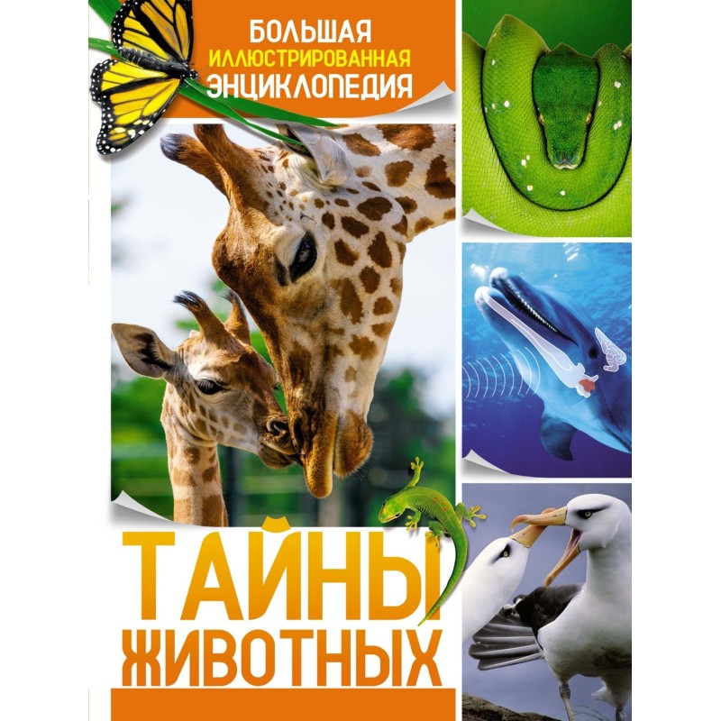 Тайны животных. Большая иллюстрированная энциклопедия