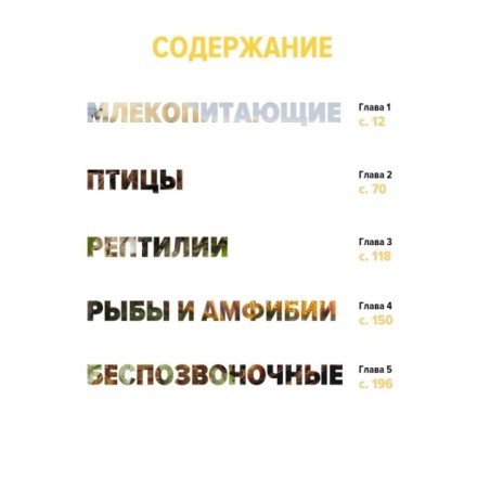 Тайны животных. Большая иллюстрированная энциклопедия