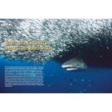 Тайны животных. Большая иллюстрированная энциклопедия