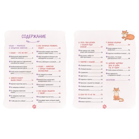 Я и моя кошка. Как понять питомца и стать ему другом