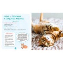 Я и моя кошка. Как понять питомца и стать ему другом
