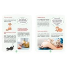 Я и моя кошка. Как понять питомца и стать ему другом