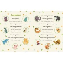 Животные-супергерои. Непридуманные истории для детей