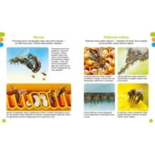 Животные-малютки