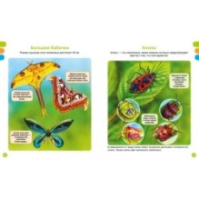 Животные-малютки