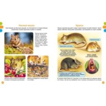 Животные-малютки