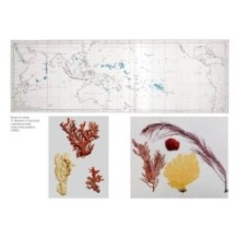 Происхождение видов путем естественного отбора