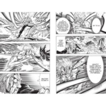 One-Punch Man. Книга 16. Чистилищная феноменальная пушка. Благословение