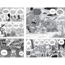 One Piece. Большой куш. Книга 21. На заре приключений : Новый Свет