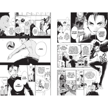 Волейбол! Книга 2. Вперед, команда «Карасуно»! Соперники