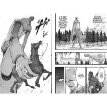 Атака на титанов. Книга 5