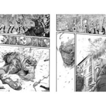 Атака на титанов. Книга 14