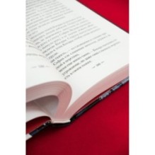 Ведьмин справочник по чудовищам. Книга 2. Черные ночи