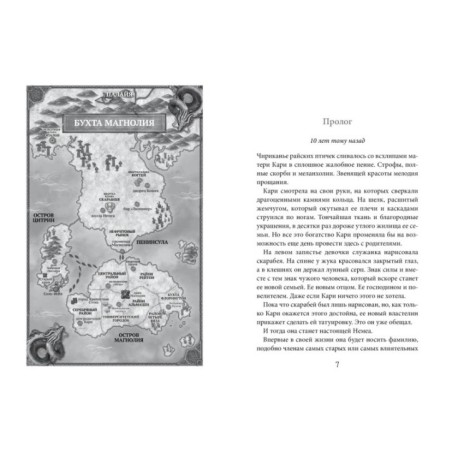 Бухта Магнолия. Книга 1. Магия, чистая и злая