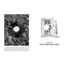 Учись видеть. Уроки творческих взлетов