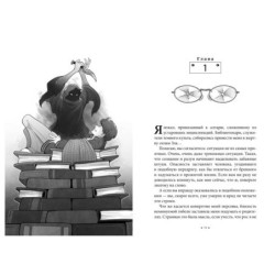 Алькатрас против злых Библиотекарей. Книга 1. Талант под прикрытием