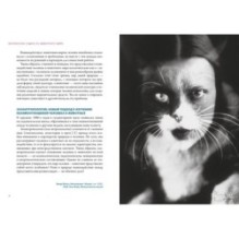 Комплект «Магические животные / магические растения»