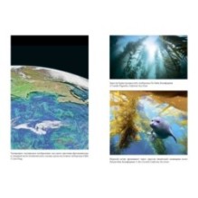 Удивительное зарождение Земли: Путешествие по скрытым чудесам, которые дали жизнь нашей планете