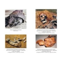 Мумии со всего света