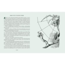 В Стране Дремучих Трав