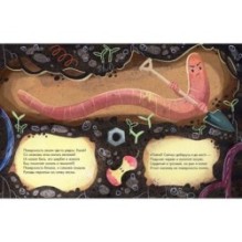 Как червяк к птицам ходил