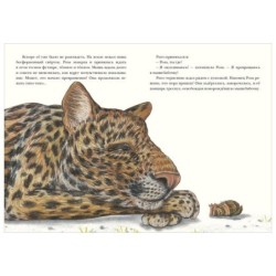 Риго и Роза. 31 история о чудных мелочах