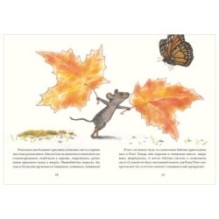 Риго и Роза. 31 история о чудных мелочах