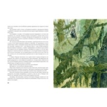 Флибустьеры