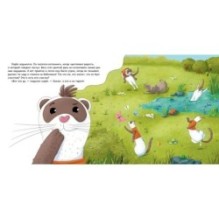 Хорёк в поисках счастья