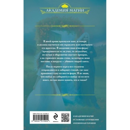 Академия Хаоса. Лабиринт стихий