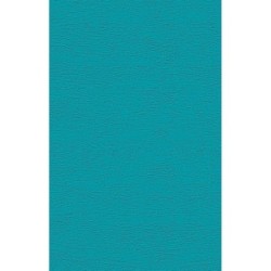 Русская канарейка. Блудный сын