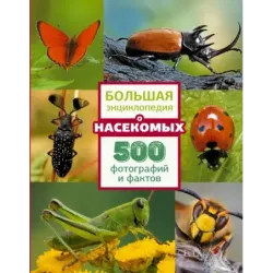 Большая энциклопедия о насекомых. 500 фотографий и фактов