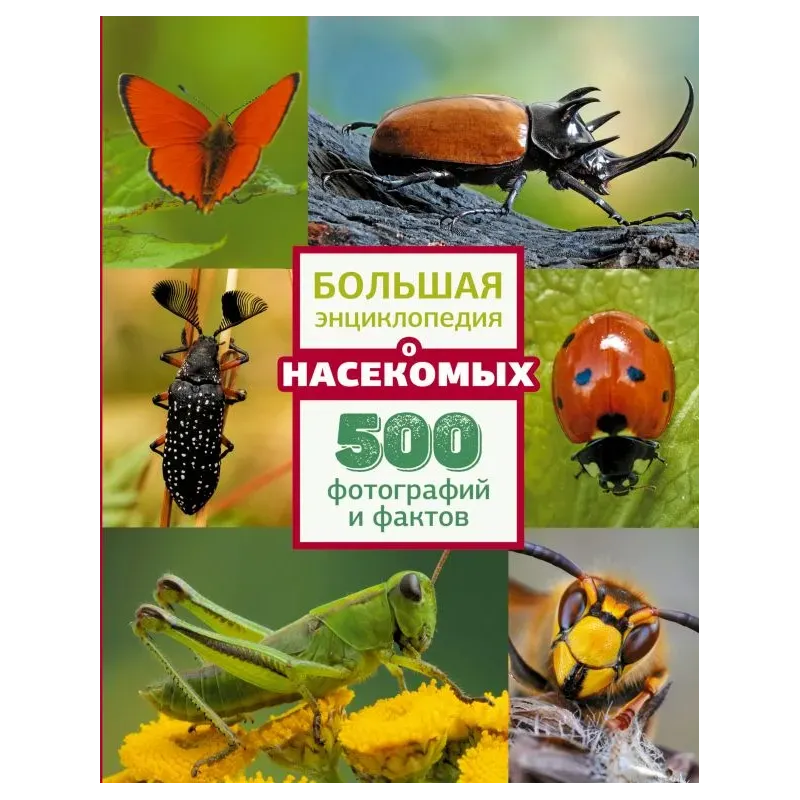 Большая энциклопедия о насекомых. 500 фотографий и фактов