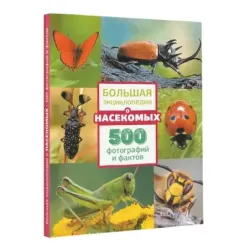 Большая энциклопедия о насекомых. 500 фотографий и фактов