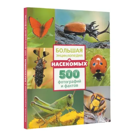 Большая энциклопедия о насекомых. 500 фотографий и фактов
