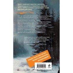 Белорусское небо