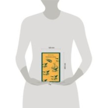 Капитаны песка