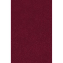 Мартин Иден. Маленькая хозяйка Большого дома