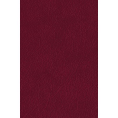 Мартин Иден. Маленькая хозяйка Большого дома