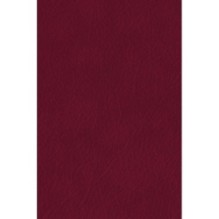 Мартин Иден. Маленькая хозяйка Большого дома