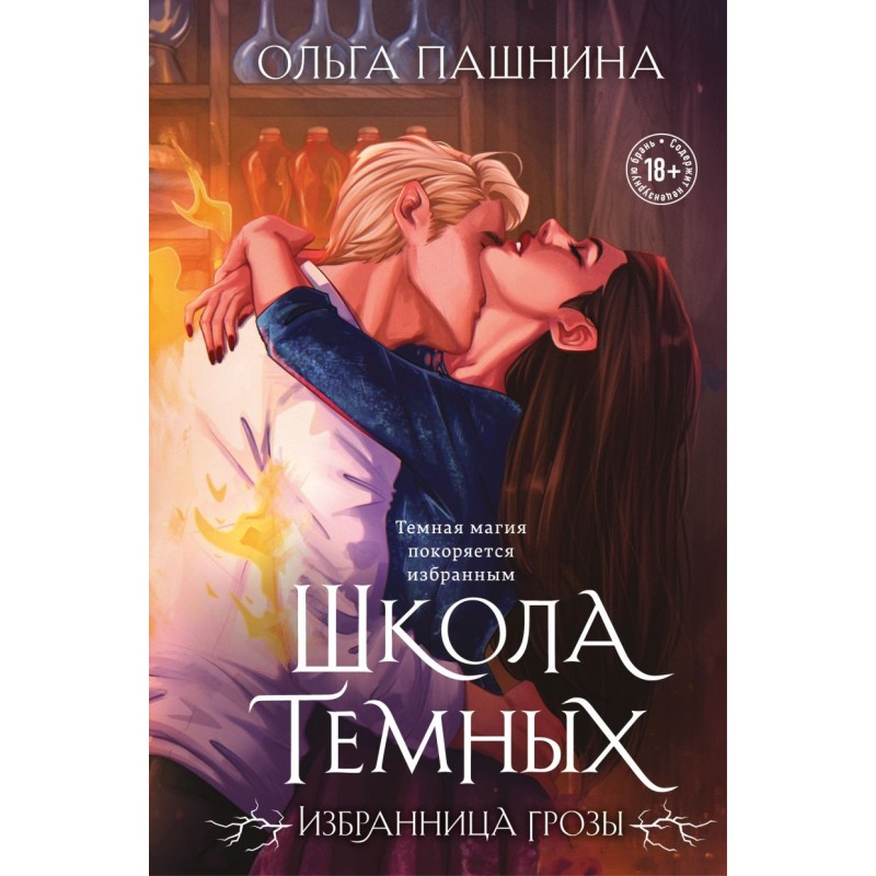 Школа темных. Избранница грозы (клатчбук)
