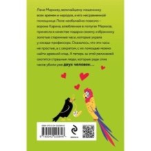 Тур поехавшей крыши