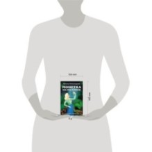 Монетка на миллион